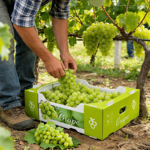 <span class=keywords><strong>Caja</strong></span> <span class=keywords><strong>de</strong></span> Plástico PP Impermeable Personalizada, <span class=keywords><strong>Caja</strong></span> Hueca para Uvas, <span class=keywords><strong>Caja</strong></span> <span class=keywords><strong>de</strong></span> Almacenamiento <span class=keywords><strong>de</strong></span> Frutas, <span class=keywords><strong>Caja</strong></span> <span class=keywords><strong>de</strong></span> Plástico para Empacar Vegetales - Product Image 1