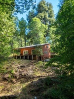 Cabane en forêt, chalet en forêt, cabane en forêt pour les vacances en famille