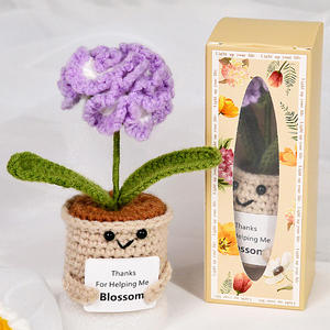 Mini Flor de Ganchillo Divertida y Positiva 2026, Regalo Emocional e Inspirador, Regalos de Agradecimiento para Mamá, Maestra, Hermana, Compañeras de Trabajo, Jefas - Product Image 5