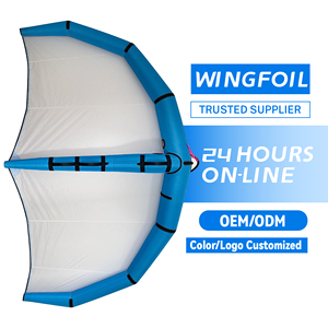 Planche hydroptère gonflable légère plaque de carbone accessoire de télécommande PVC cerf-volant <span class=keywords><strong>Surf</strong></span> aile feuille EPS bois Nylon matériaux - Product Image 3