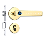 Serrure de poignée de porte Bluetooth TYSH avec empreinte digitale, mot de passe via APP, carte IC, clé, pour portes de 30-50 mm d'épaisseur, noir et or, pour la maison