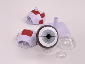 Modello Anatomico dell'Occhio Umano OEM in PVC con Ingrandimento 3X, Struttura dell'Palpebra Orbitale in 6 Parti per Insegnamento e Formazione - Product Image 4
