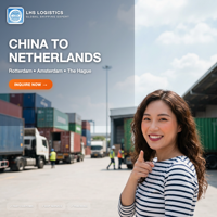 Agent maritime LCL FCL de Shenzhen : Services logistiques rapides vers la France, le Canada, l'Allemagne, l'Italie, les États-Unis, le Royaume-Uni et le monde entier par voie maritime.
