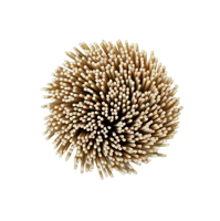 Bâtonnets d'encens en bambou écologiques, 100% naturels, durables, 1,3*205mm, uniformes, vente en gros directe d'usine