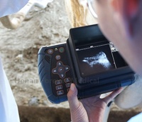 Équipement médical, appareil d'échographie vétérinaire, échographie portable vétérinaire, appareil d'échographie 3D 4D pour animaux