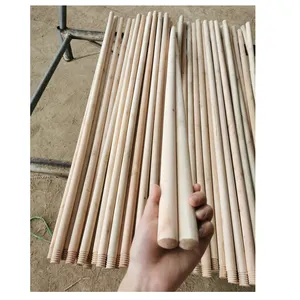 Manche de balai en bois avec manche femelle, pour les outils de jardinage et la maison, motifs d'eucalyptus, nouveauté