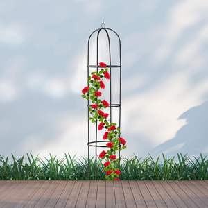 Support de plante grimpante en acier pour jardin extérieur, 100% métal, pour clematis, vigne, <span class=keywords><strong>jasmin</strong></span>, vente en gros d'usine - Product Image 4