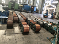 Mehradriges Abgeschirmtes Steuerkabel 0,75mm² 1,5mm² 2,5mm² Flexibles Kupfer-Geflecht-Schirmkabel für Maschinen