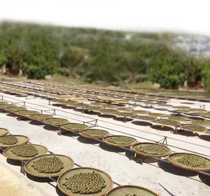 Bola de hierba gatera para gatos, juguete para mascotas, limpiador de dientes Molar, hierba para gatos, venta al por mayor - Product Image 4