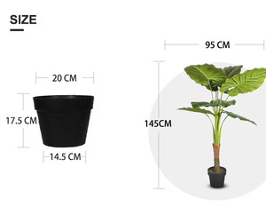 บอนไซประดิษฐ์สำหรับตกแต่งโรงแรม,ต้นอะโลคาเซีย <span class=keywords><strong>Macrorrhizos</strong></span> ขนาด145เมตรเหมือนจริง - Product Image 6