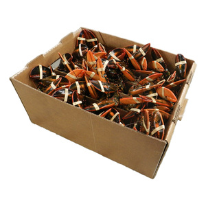Expédition en carton ondulé étanche pour l'emballage de chaîne du froid de fruits de mer dossier en carton enduit de cire pour la stratification mate d'aliments surgelés - Product Image 1