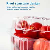 Emballage en blister écologique en PET, contenants alimentaires en plastique transparent à clapet pour les bleuets, les cerises, les fraises, les bonbons, les sushis, les pizzas