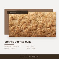 27 28 Best Seller Maillard Style Fashion Factory Cheap Price Light Brown Wool Polyester Blend Knit Boucle Looped Fabric