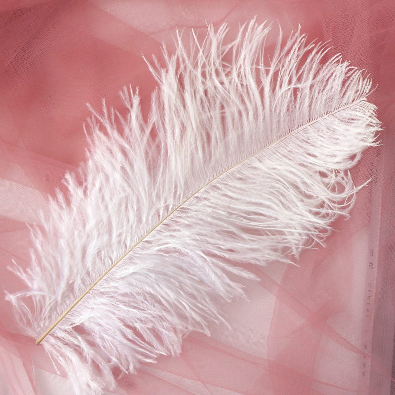 Tige fine de haute qualité 20-25cm blanc