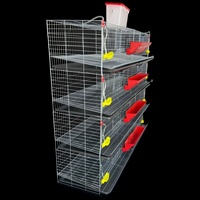 Cage d'élevage automatique pour cailles avec nettoyage automatique du fumier - Système de cage d'élevage avicole automatique