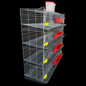 Cage d'élevage <span class=keywords><strong>automatique</strong></span> pour cailles avec nettoyage <span class=keywords><strong>automatique</strong></span> du fumier - Système de cage d'élevage avicole <span class=keywords><strong>automatique</strong></span> - Product Image 6