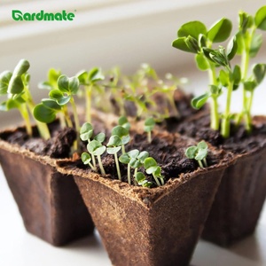 Set di 30 Vassoi per Semina Biodegradabili ed Ecologici, Accessori per Giardinaggio Domestico, per Piante, Fiori e Verdure - Product Image 5