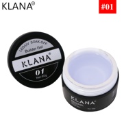 Gel de Construction Professionnel pour Ongles, Marque Privée, 10 Couleurs Populaires, Fournitures pour Ongles OEM/ODM, Gel Dur pour Extension d'Ongles
