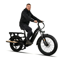 Vélo électrique tout-terrain puissant de 24 pouces, personnalisé OEM, 60V 20Ah, couple de 150 Nm, avec pneus larges et longue portée pour le transport de marchandises