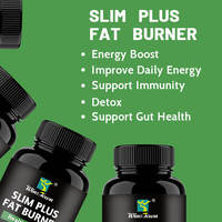 Suppléments à base de plantes pour adultes Slim Plus brûleur de graisse Garcinia Cambogia extrait de thé vert pilules de perte
