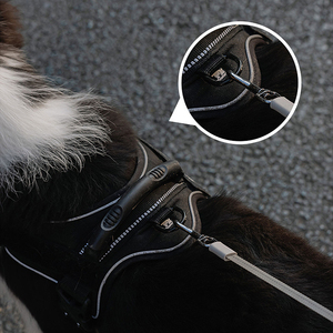 ชุดปลอกคอและสายจูงสุนัขและแมวทำจากไนลอน ดีไซน์ลายอุ้งเท้า พร้อมคุณสมบัติปลดเร็ว - Product Image 5