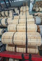 Cable de Alimentación Blindado PrimePro YJY23 1.8/3kV 2/3C, Cobre Libre de Oxígeno, Aislamiento XLPE, Blindaje de Cinta de Acero, Vida Útil de Más de 30 Años