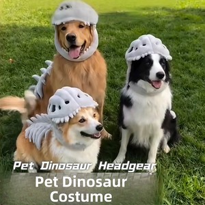 Furtovo Popolare Copricapo a Forma di Dinosauro, Cappello Realistico, Decorazione in Peluche, Oggetto per Foto, Commercio all'Ingrosso Transfrontaliero - Product Image 1