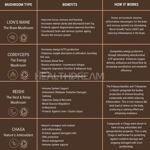 Extrait de Chaga sauvage de Chine UE organique 10:1 Pesticide-<span class=keywords><strong>Test</strong></span>é OEM Premix & Capsule Solutions de remplissage - Product Image 4