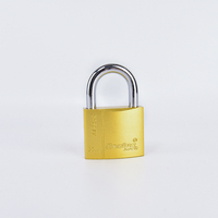 Cadenas Rarlux robuste populaire à anse courte en fer laqué avec 3 clés, certifié ISO9001