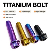Bulloni in Titanio M22 a Testa Tonda GR5, Bulloni Colorati ad Alta Resistenza per Moto e Auto, Vendita all'Ingrosso OEM ODM