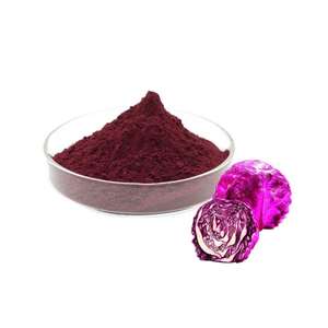 Grosir penjualan terbesar 100% bubuk jus kubis ungu murni - Product Image 4