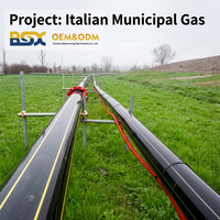 Tuyau de gaz polyéthylène BSX 2 PE100 haute pression certifié ISO avec fil de traçage pour la distribution principale de gaz municipal