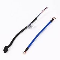 Konektor Kabel Betina Pa66 Pitch 2.5mm Asli, Kabel Harness Perakitan Adaptor JST XH 2-4 Pin Kustom untuk Elektronik Otomotif
