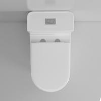 WC monobloc moderne en céramique à double chasse, avec fonction de fermeture douce, pour usage domestique, hôtelier, scolaire, lavabo, salle de bain, à poser au sol