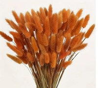 YC Décorations d'intérieur : Bouquet de fleurs séchées teintes Lagurus Ovatus, vente en gros d'usine, fabriqué avec la technique de teinture, herbe queue de lapin