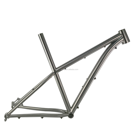 waltly titanium frame cost
