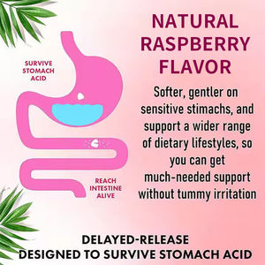 Gomas probióticas personalizadas profesionales Soporte inmunológico y digestión Caramelo Vitamina Colágeno Gummy - Product Image 6