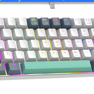 Clavier de jeu mécanique compact 60% <span class=keywords><strong>RK61</strong></span> filaire RGB Mini USB Type-C Interface Anti-Ghosting Switches bleus clic-clac pour PC portable - Product Image 5