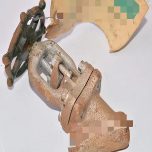 Edward Valves, , , A105, Valve Globe de capot, 1/4 ''New Original Ready Stock Industrial Automation Pac Dedicate - Product Image 1