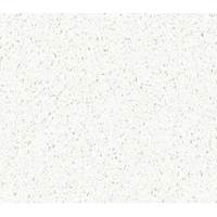 DCT OQ1012 Moderne Hellweiße Quarzplatte mit Feiner Gesprenkelter Textur Pflegeleicht Fleckenresistent Umweltfreundlich Langlebig