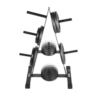 Support de rangement portable en métal Dingfeng pour plaques de poids, équipement de gym multifonctionnel pour entraînement de force, unisexe
