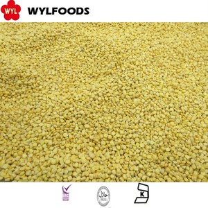 เมล็ดข้าวโพดหวานแช่แข็ง - Product Image 2