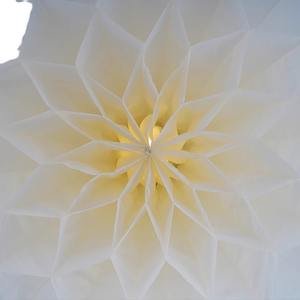 Piccolo fiore di sollevamento automatico creativo lampada di plastica petalo tessuto lampadario per la Hall dell'hotel decorazione luci pendenti - Product Image 2