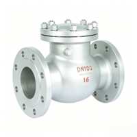 Vanne de contrôle d'eau à double disque en acier inoxydable, à fermeture lente, type Wafer, PN16, OEM 2-8 pouces