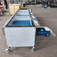 Industriële Blauwe Bes Sorteermachine van RVS, Hoge Efficiëntie, Capaciteit 500-1000kg/u, voor het sorteren van bosbessen en blauwe bessen