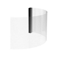 Pantalla Transparente Flexible de Nueva Tecnología, Película de Cristal, Pantalla Holográfica LED de Forma Especial P4 P4-8 P6 P8