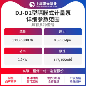 Pompe doseuse à membrane Shanghai Sunshine Pump Industry DJ-D2 en acier inoxydable 316L, électrique, haut débit 1300 L/H, hauteur de refoulement 8 M - Product Image 3
