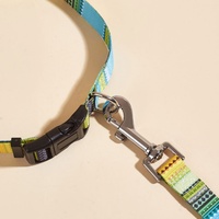 Animal Chien Accessoires Fournitures Nylon Luxe Bohême Chat Chien Collier et Laisse Set Ceinture de guidage pour chiens