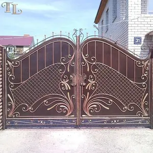 Portes de luxe en fer forgé, 10 pièces, design de porte d'entrée, de maison