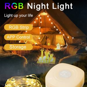 Guirnalda de Luces LED de Navidad, Decoración de Jardín, Funciona con Pilas, Luces LED para Exteriores, Lámparas para Acampar - Product Image 4